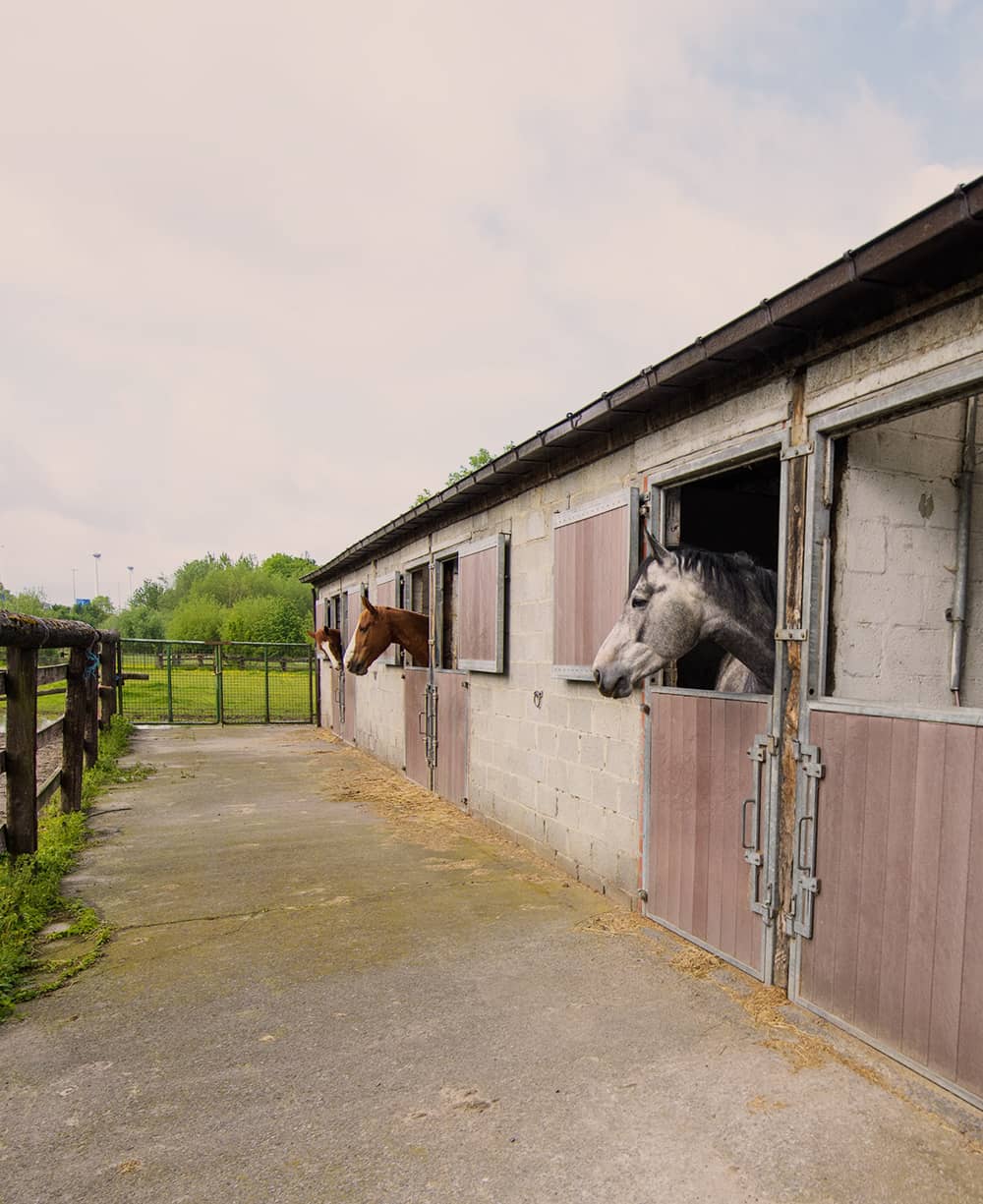 Accommodatie en stallen van de Gaverranch