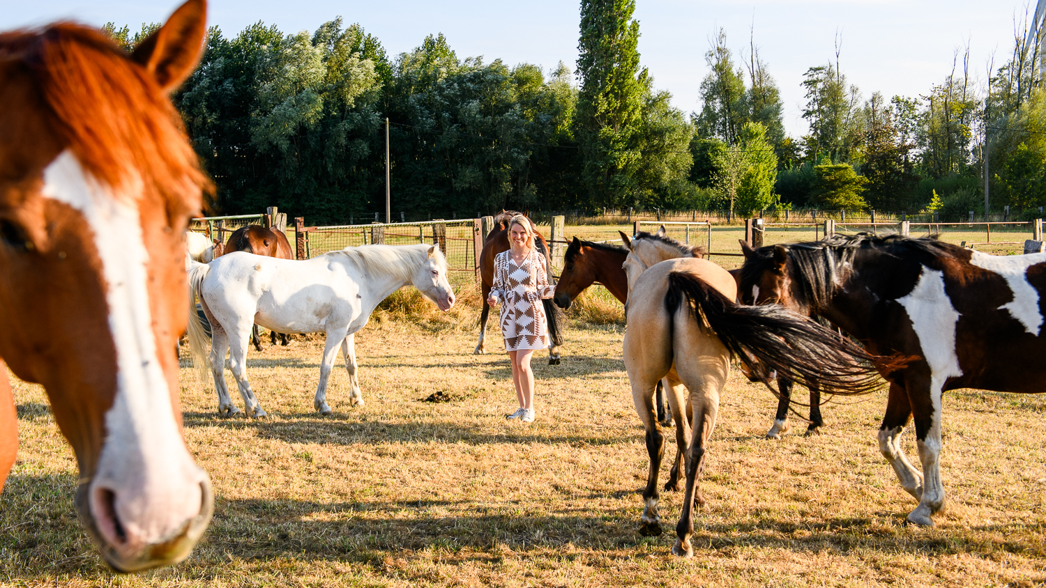 Laura Lecluyse tussen de manègepaarden van de Gaverranch